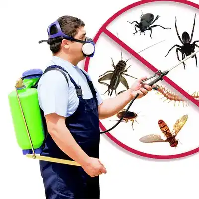 pest control Lacombe